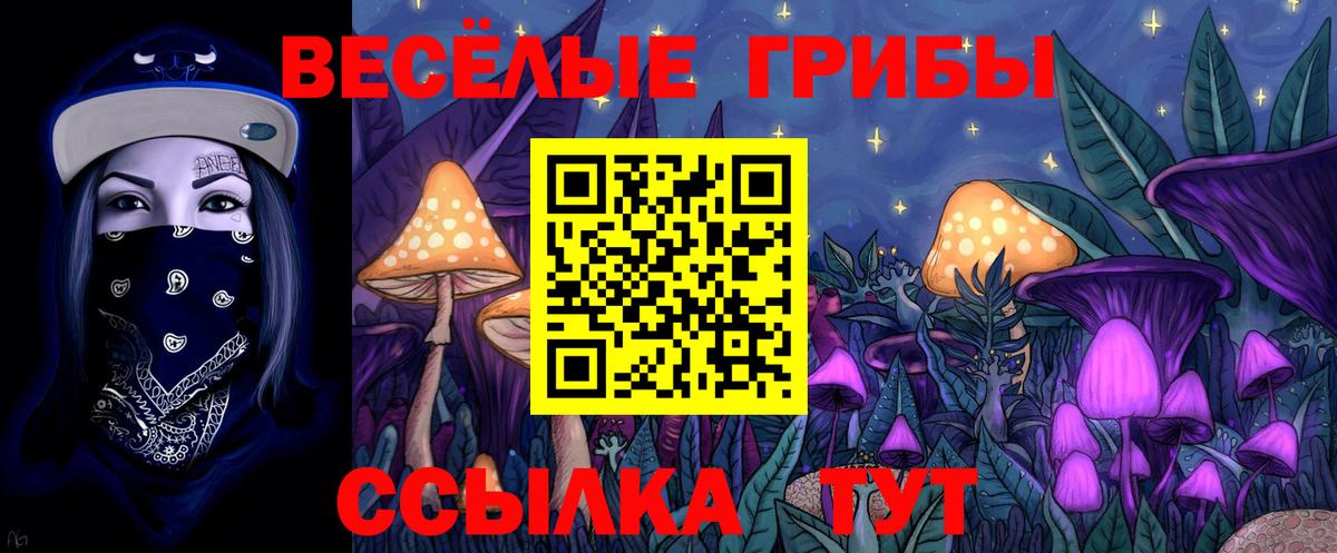 Галлюциногенные грибы мицелий Ефремов