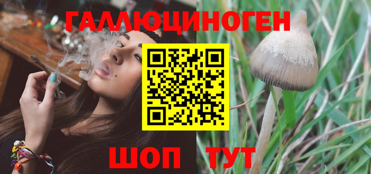 Ефремов  Псилоцибиновые грибы мицелий  где найти   Галлюциногенные грибы мухоморы  Вход с VPN 